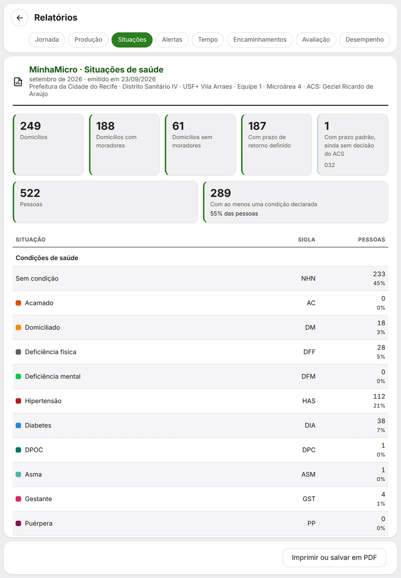 Relatório de Situações de saúde: totais e percentuais da microárea.